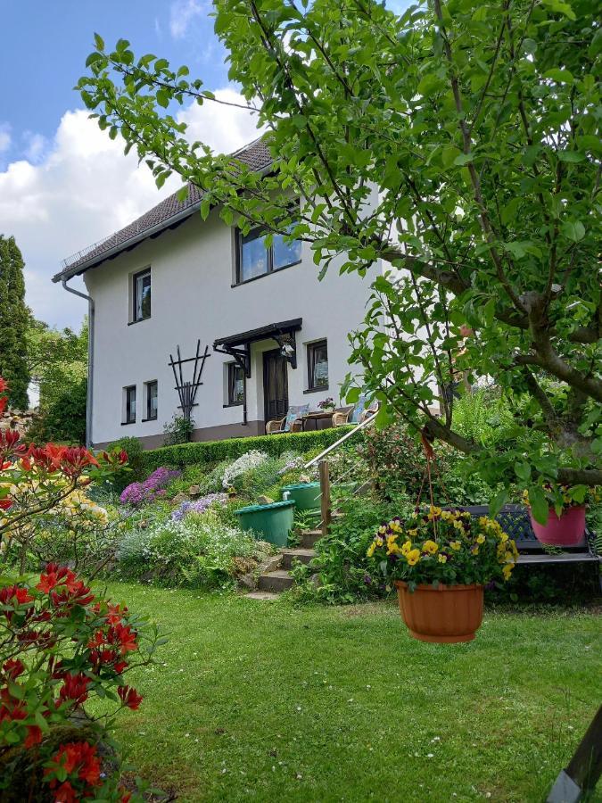 Ferienwohnung Am Steinbachtal Тале Екстериор снимка