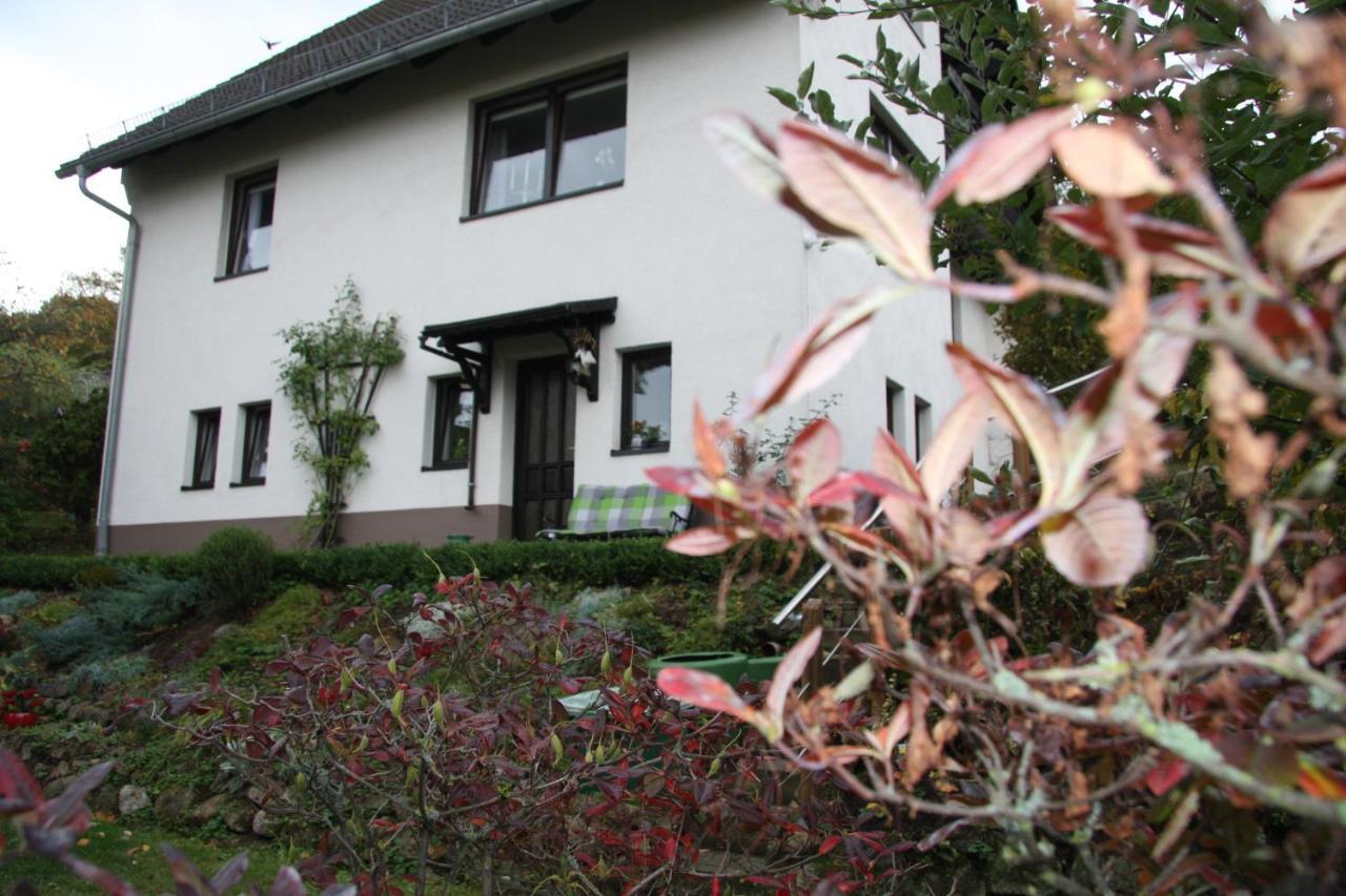 Ferienwohnung Am Steinbachtal Тале Екстериор снимка