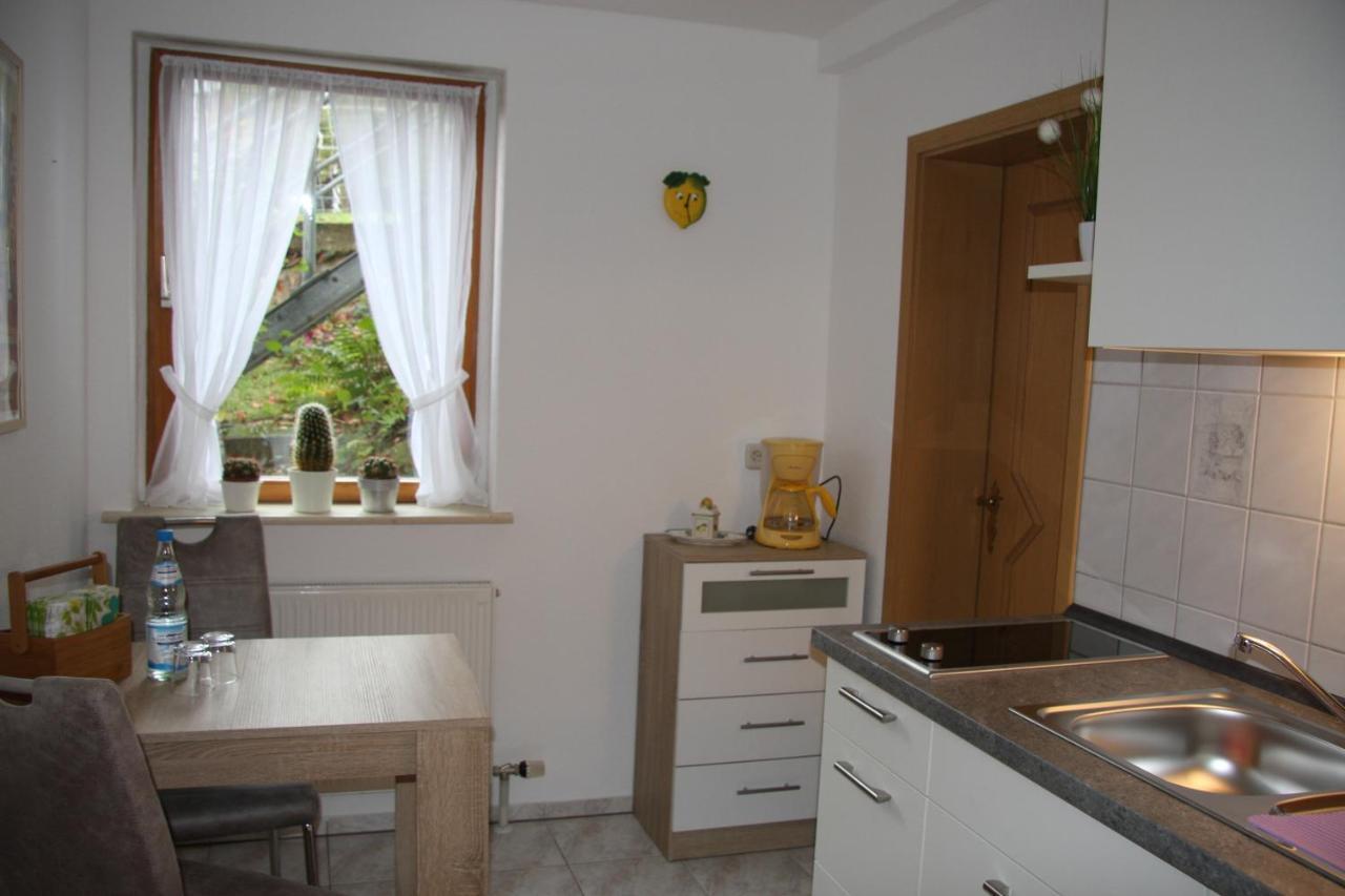 Ferienwohnung Am Steinbachtal Тале Екстериор снимка