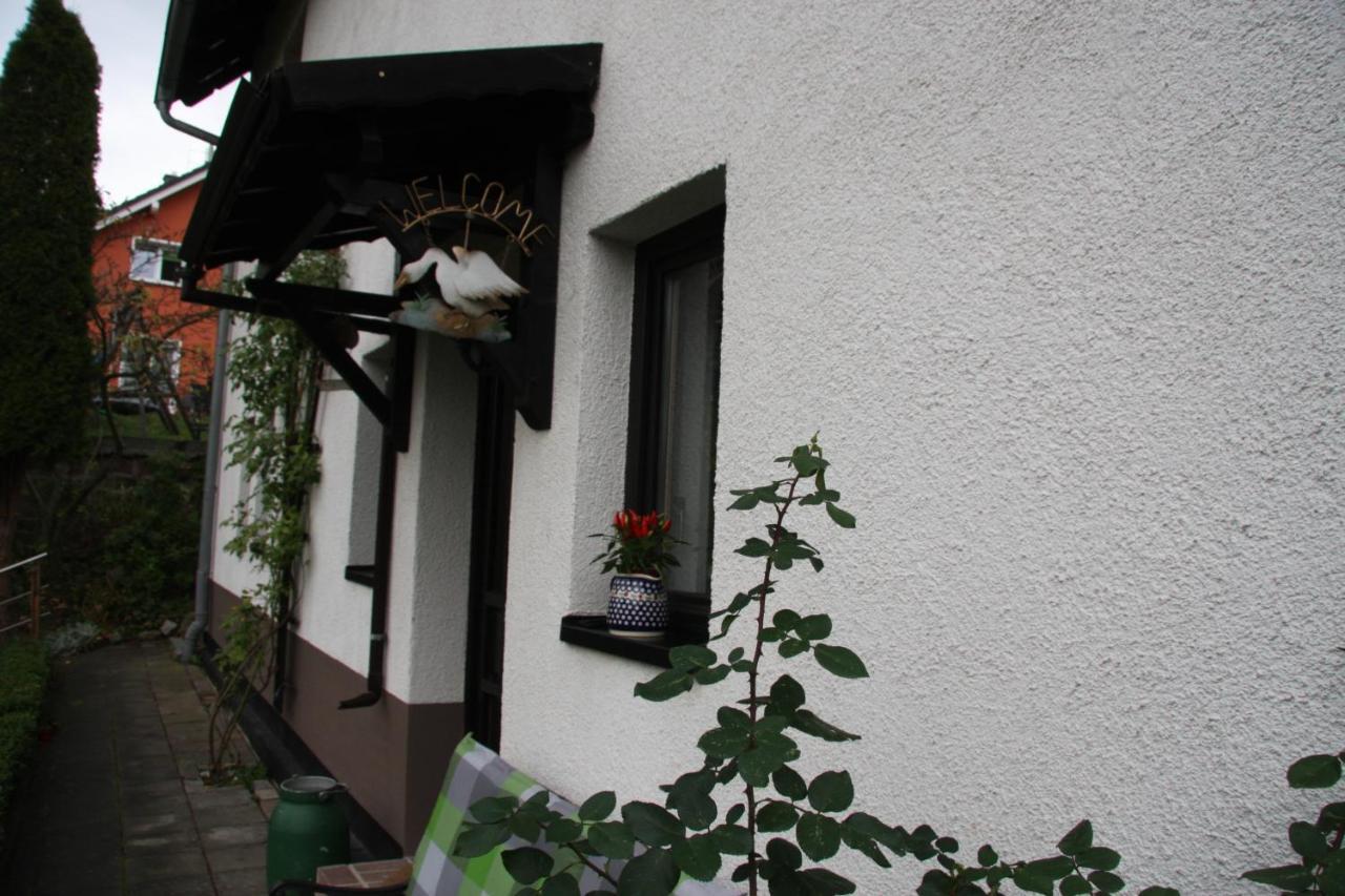 Ferienwohnung Am Steinbachtal Тале Екстериор снимка